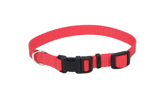 Coastal Adjustable Nylon Dog Collar with Plastic Buckle Red, 1ea/3/4 In X 1420 in