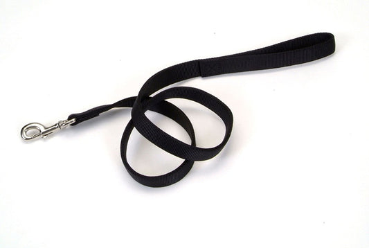 Coastal DoublePly Nylon Dog Leash Black, 1ea/1 In X 6 ft