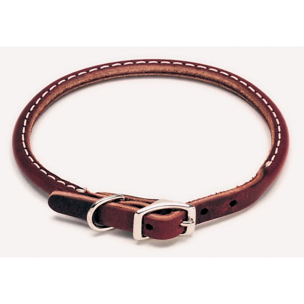 Circle T Latigo Leather Round Dog Collar Brown 1ea/3/8 In X 14 in