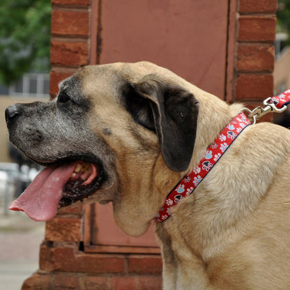 Ribbon Adjustable Nylon Dog Collar with Metal Buckle