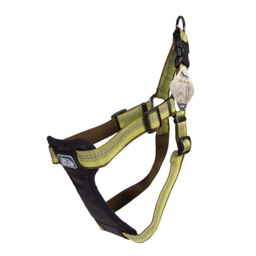 Coastal K9 Explorer 1 Inch Padded Harness Fern Green (20-30 Inch)