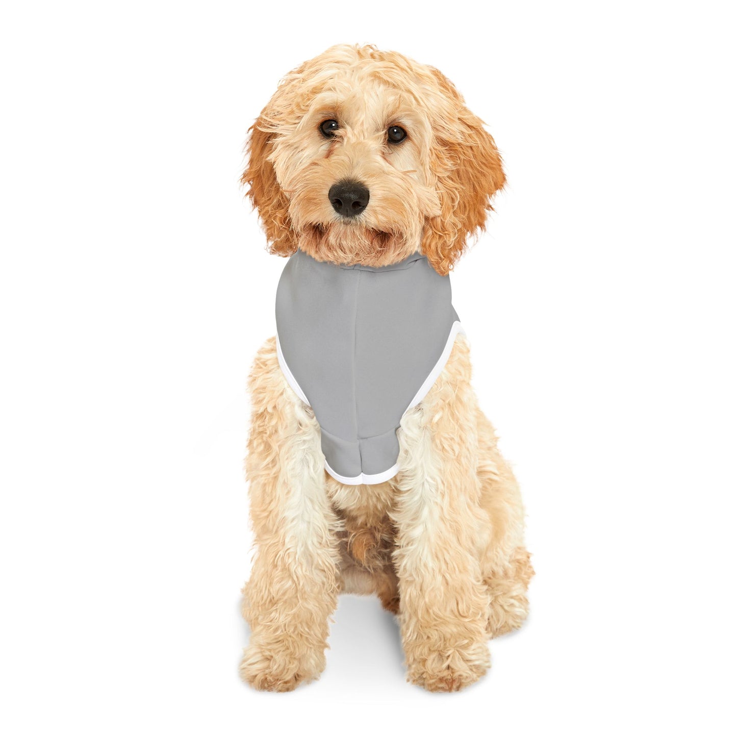 Cozy Pet Hoodie The Paw Haven