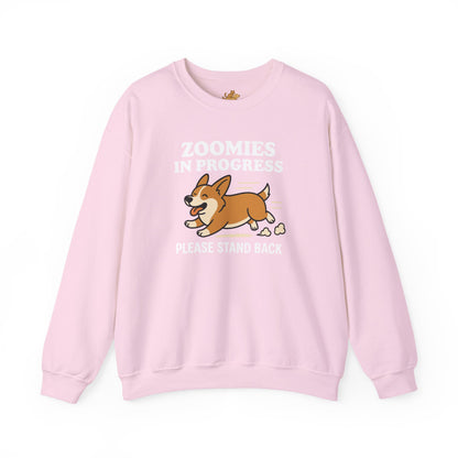 Corgi Zoomies