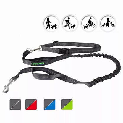 Hands Free Dog Leash