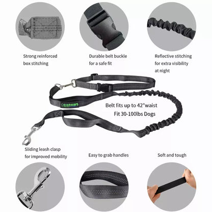 Hands Free Dog Leash