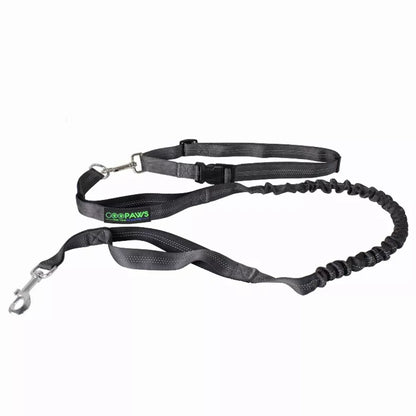 Hands Free Dog Leash