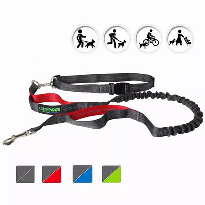 Hands Free Dog Leash