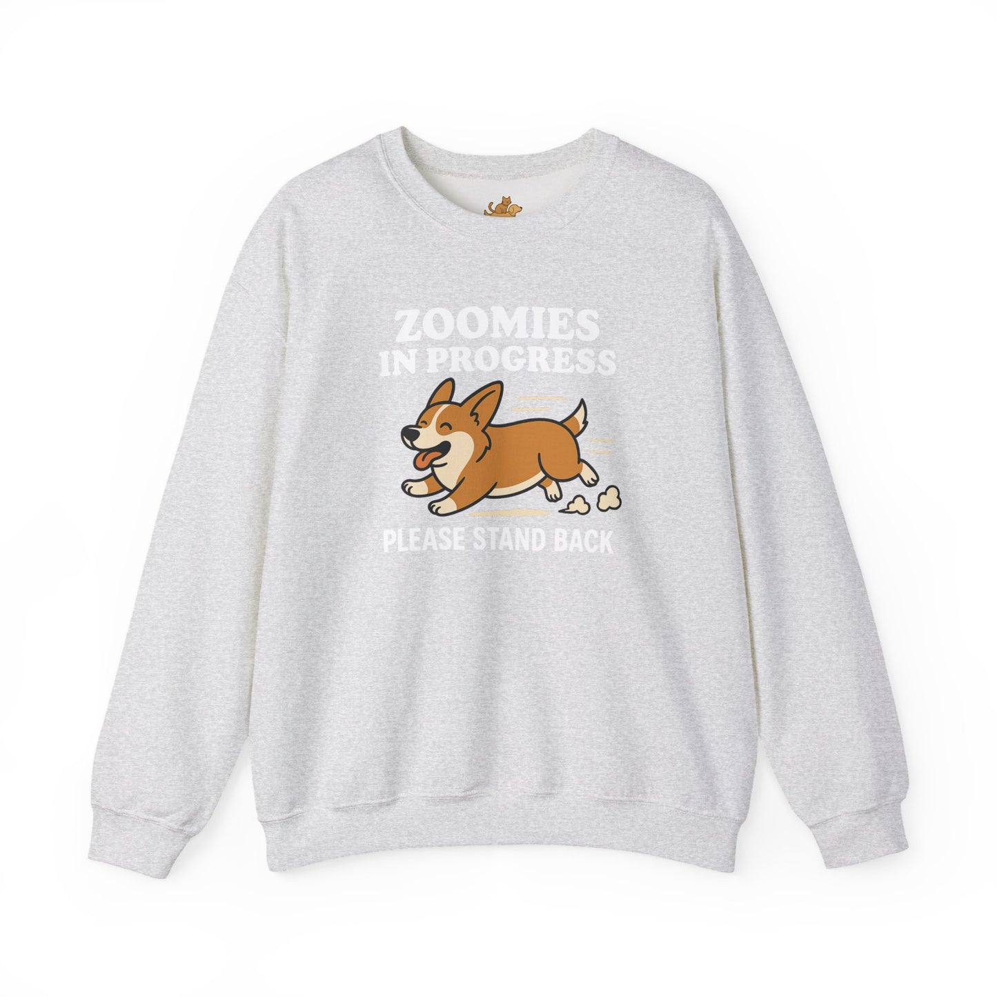 Corgi Zoomies