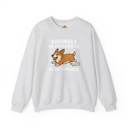 Corgi Zoomies