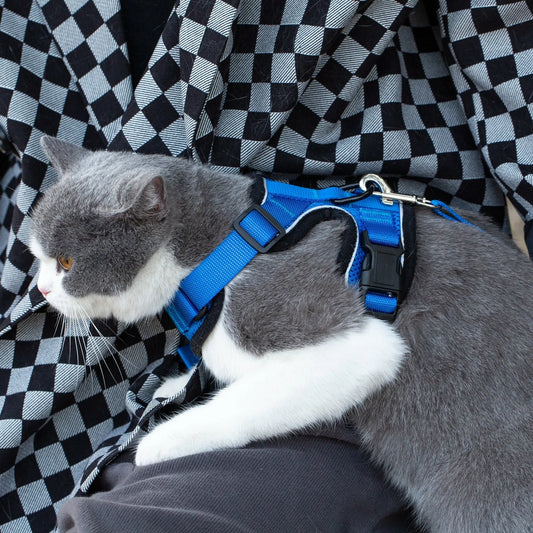 Reflective Cat Harness