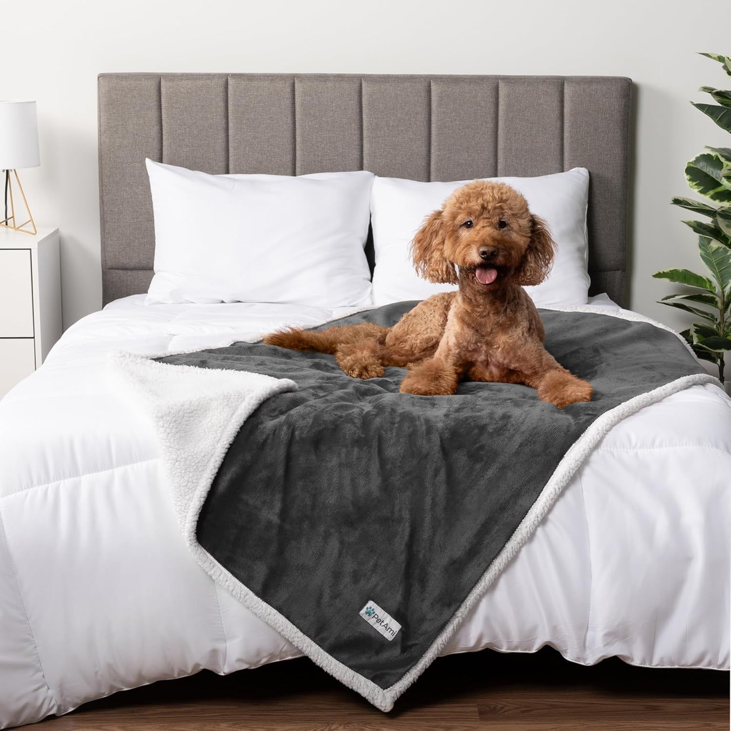 Waterproof Dog Blanket for Queen Bed Large XL Dog Throw for Couch Cover Leakproof Furniture Protection, Sherpa Fleece, Reversible Soft Washable 90X90 Light Gray