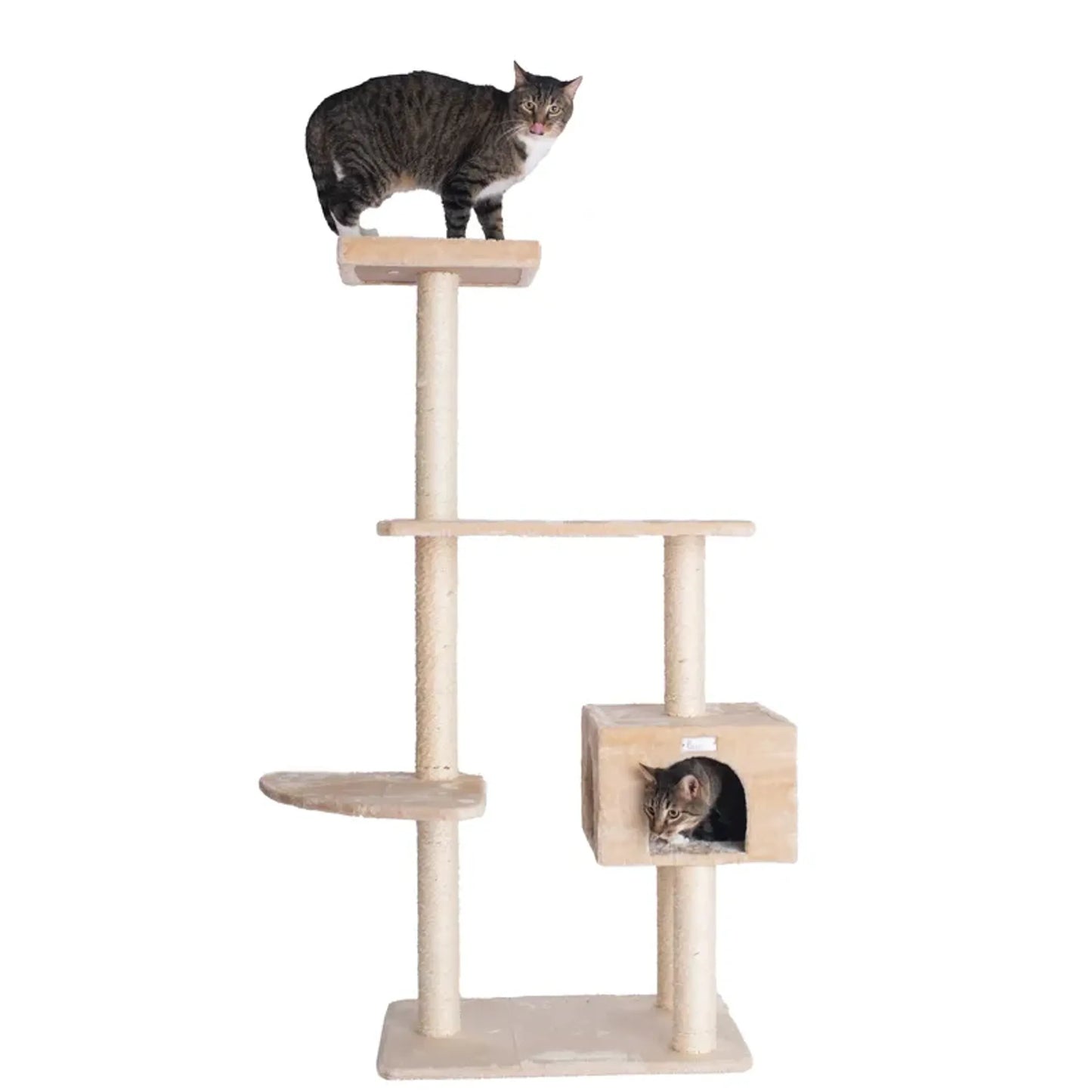 Cat Tree  Real Wood Cat Perches