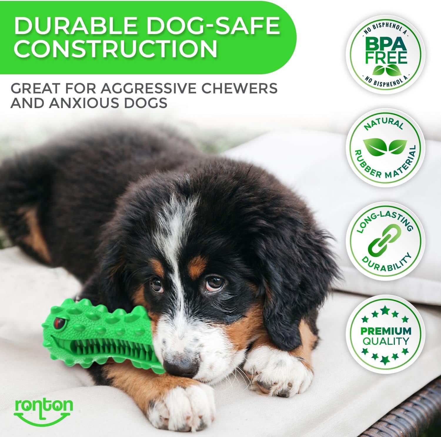 Cat Toothbrush - Durable Hard Rubber Cat Dental Care, Interactive Toothbrush Chew Toy (1 Pack Dino)