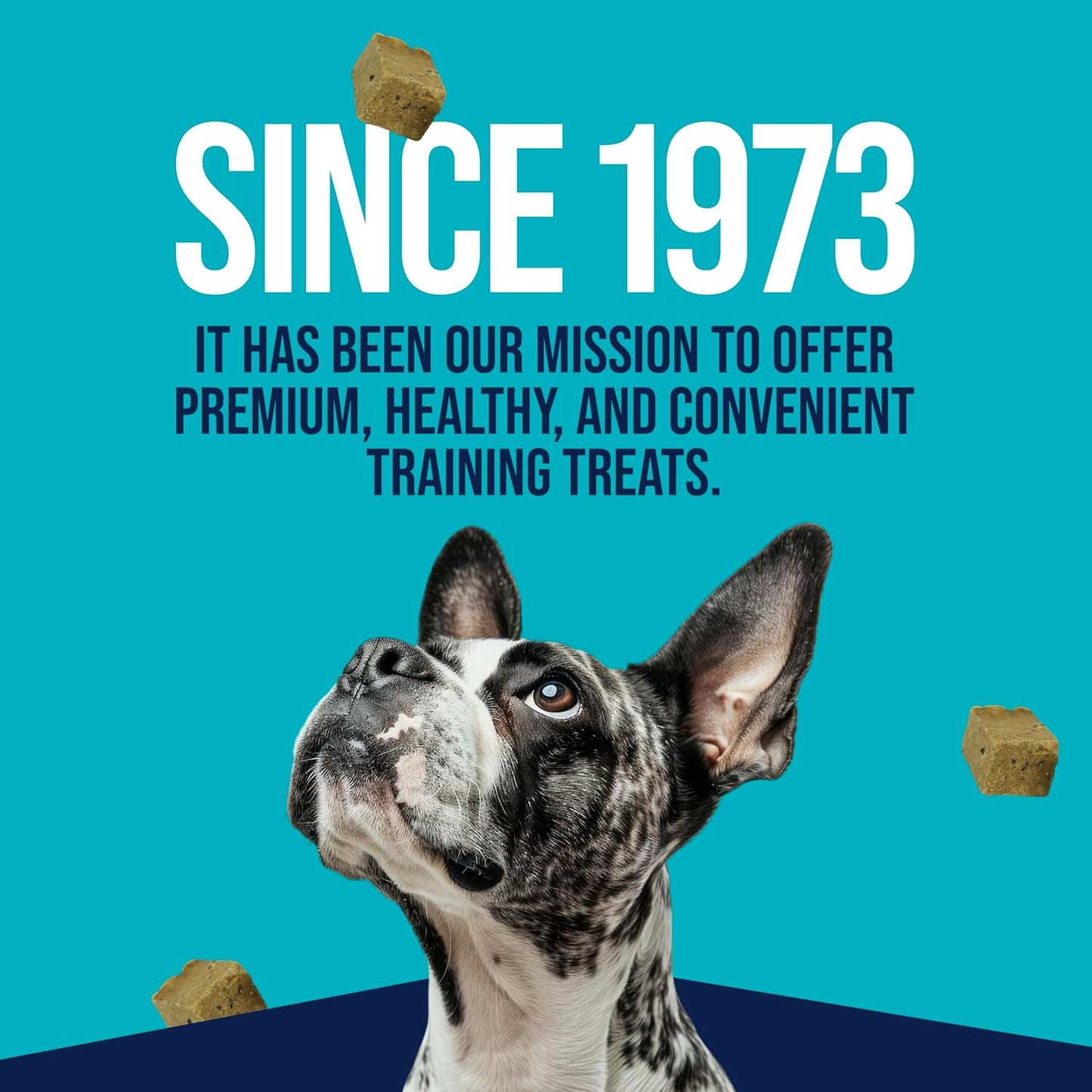 Freeze Dried Dog Treats, Beef Liver, Healthy, Natural, Single Ingredient, Grain Free Dog Treat, Liver Treats for Dogs, 14 Ounces, Resealable Tub