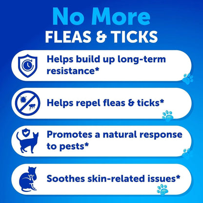 Flea Treatment for Cats Natural Flea and Tick