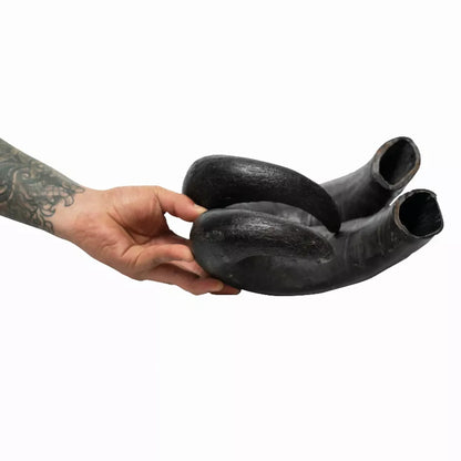 WATER BUFFALO HORN