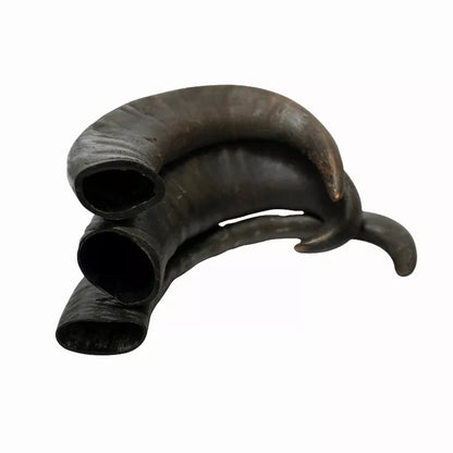 WATER BUFFALO HORN