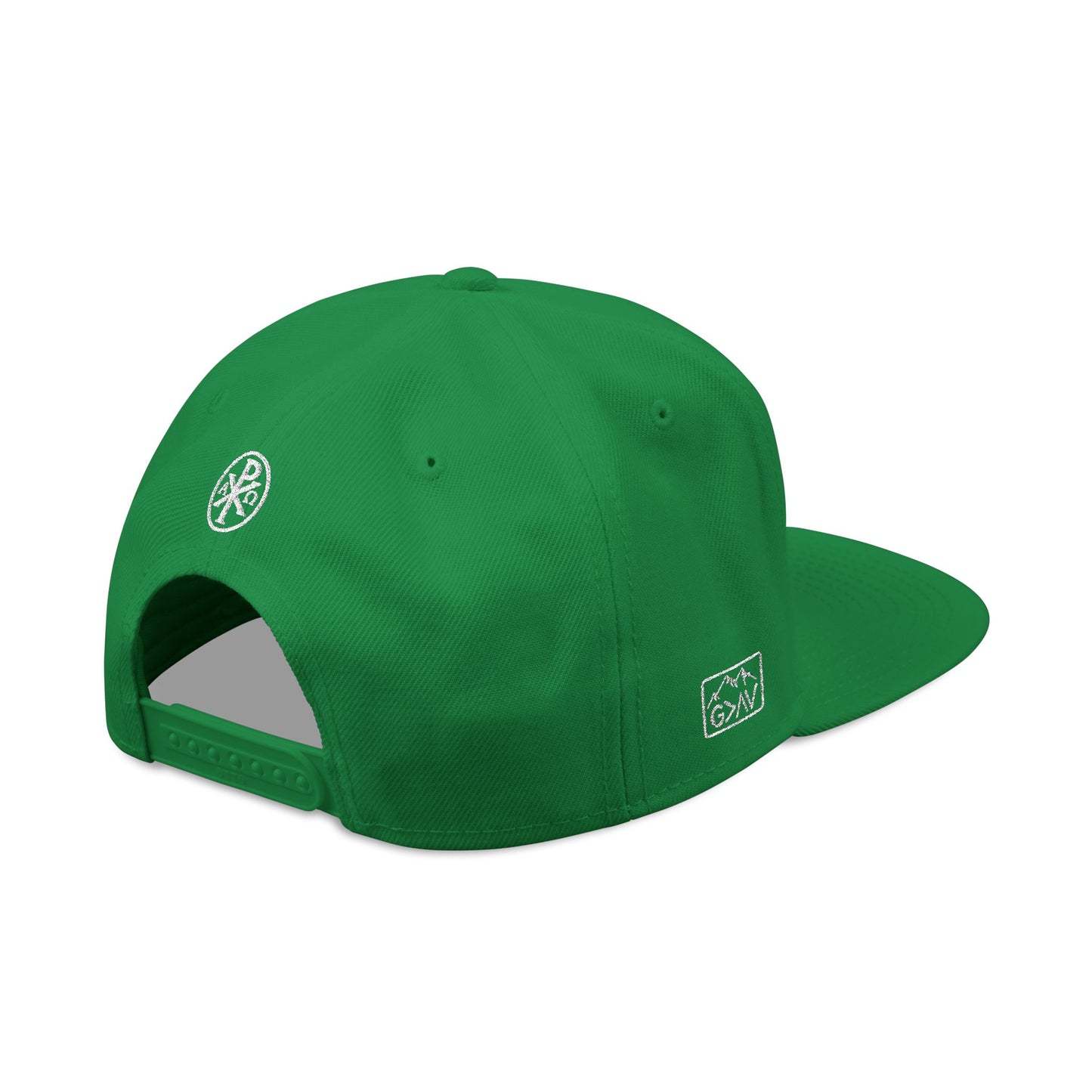 Guardian Shield Snapback Hat