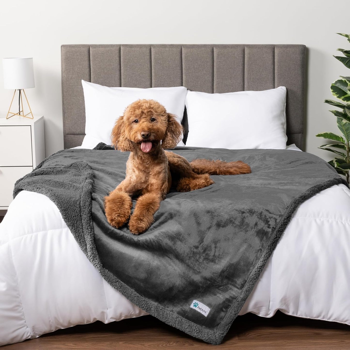 Waterproof Dog Blanket for Queen Bed Large XL Dog Throw for Couch Cover Leakproof Furniture Protection, Sherpa Fleece, Reversible Soft Washable 90X90 Light Gray