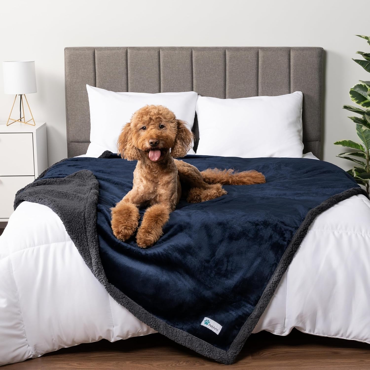 Waterproof Dog Blanket for Queen Bed Large XL Dog Throw for Couch Cover Leakproof Furniture Protection, Sherpa Fleece, Reversible Soft Washable 90X90 Light Gray