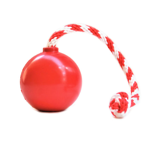 Cherry Bomb Durable Rubber Chew Toy
