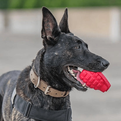 Grenade Rubber Chew Toy & Treat Dispenser