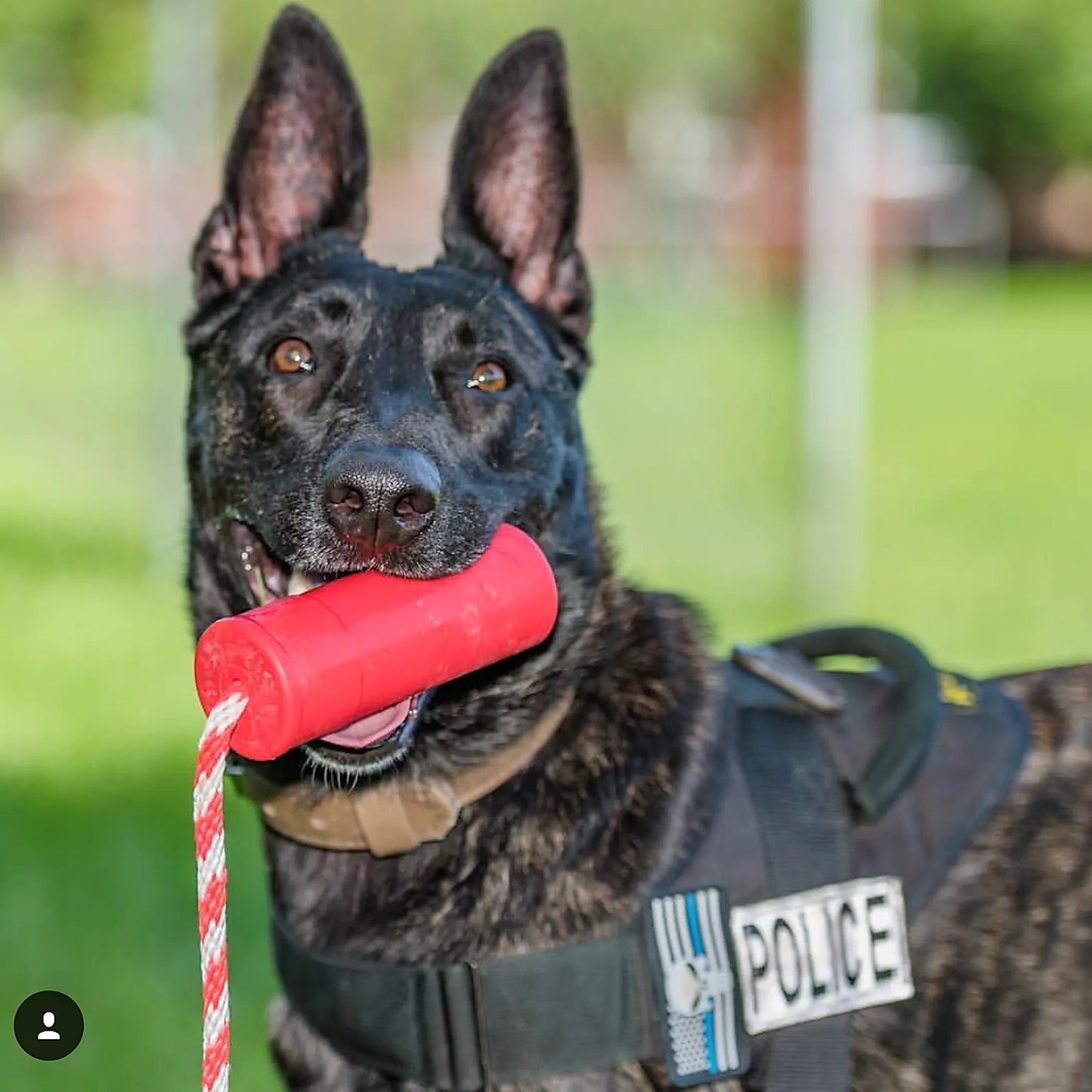 Firecracker Durable Rubber Floating Training Dummy