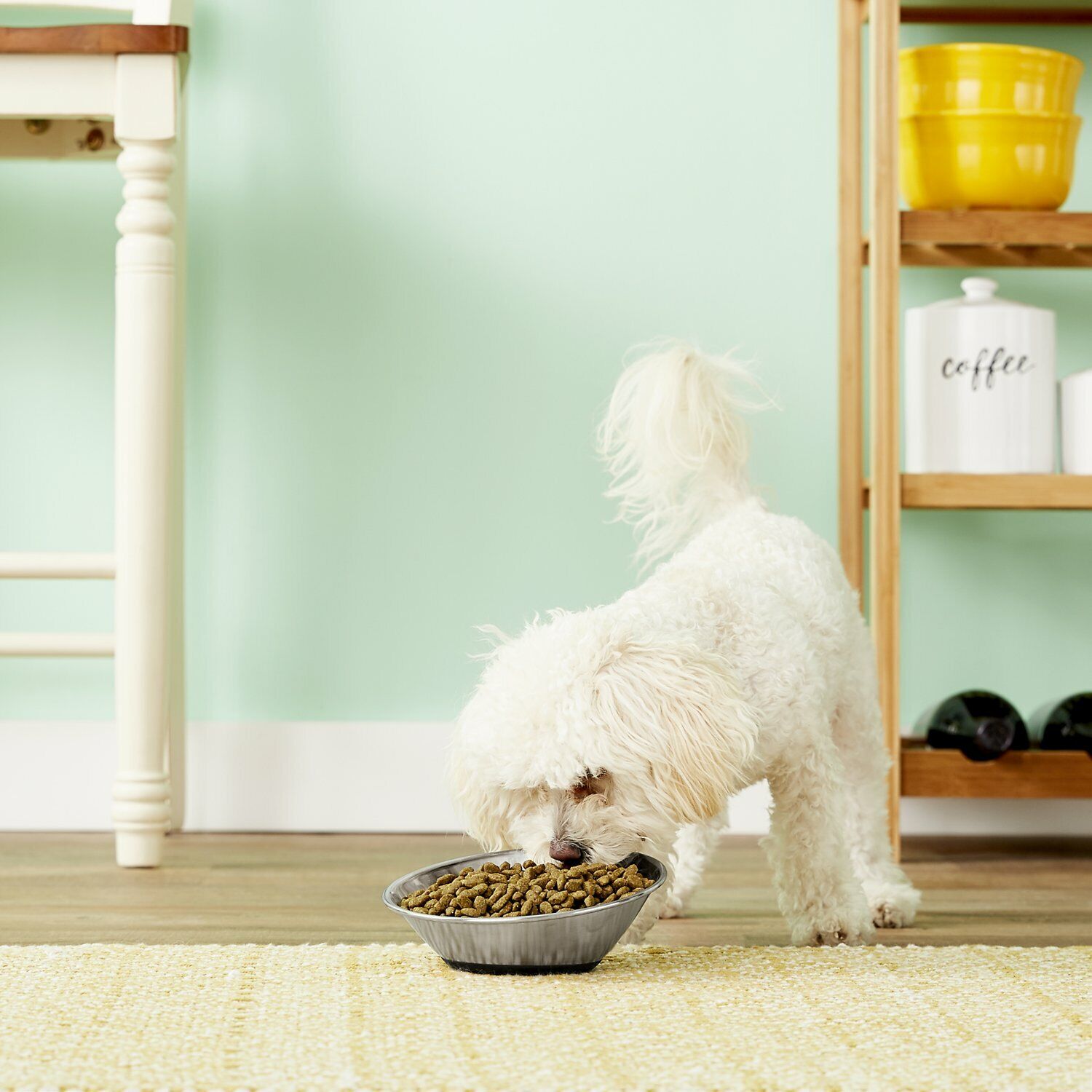 OurPets Tilt-a-Bowl Silver Small