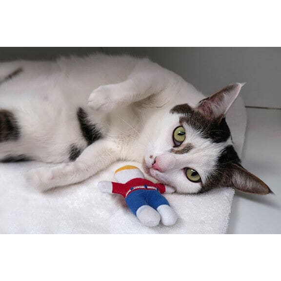 Multipet Mr. Bill Cat Toy 4 inch