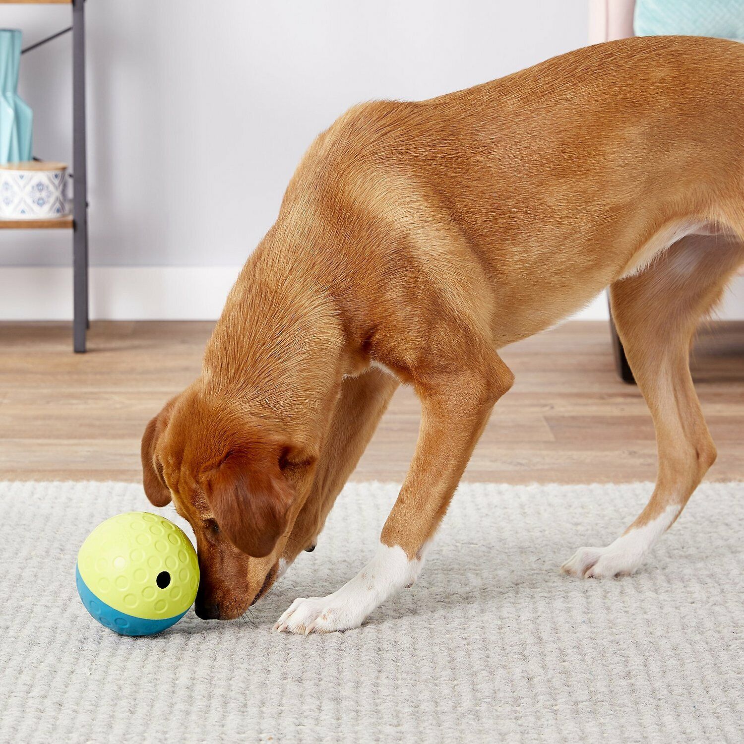Nina Ottosson Treat Tumble Dog Toy Blue; Yellow Small