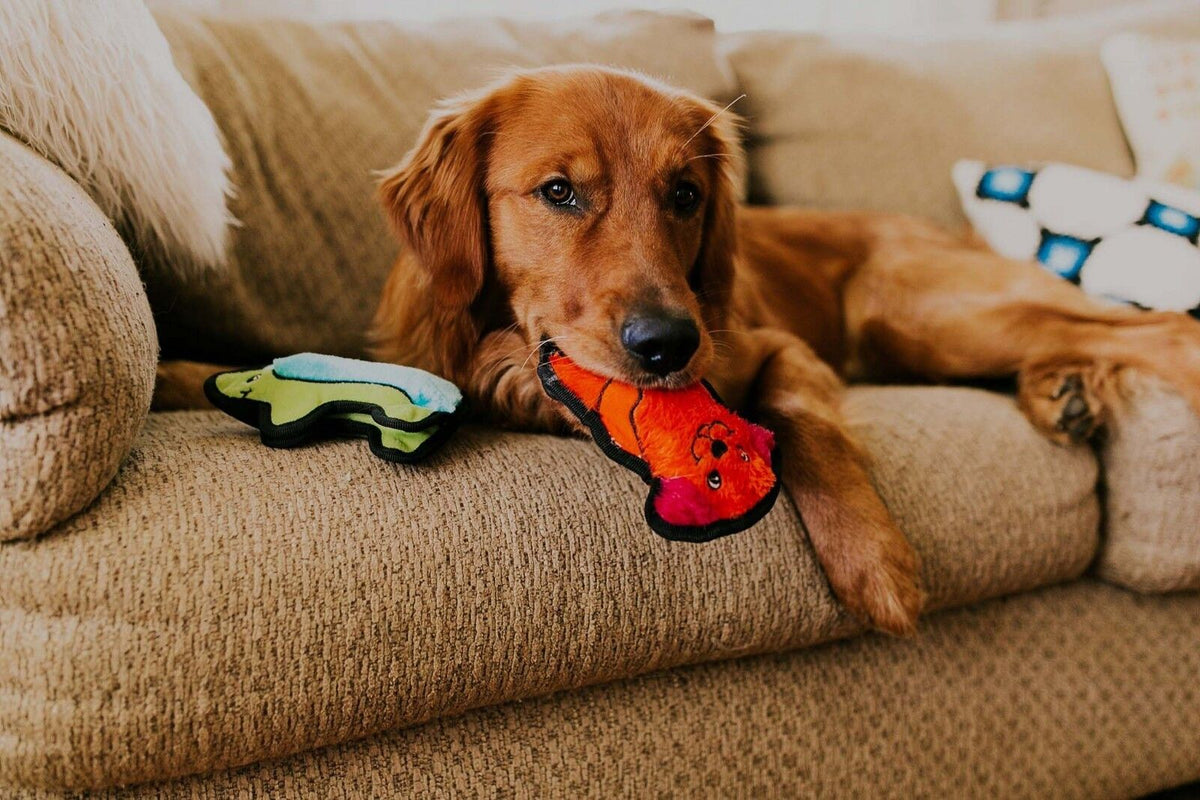Outward Hound Invincibles Puppy Dog Toy Brown Extra-Small