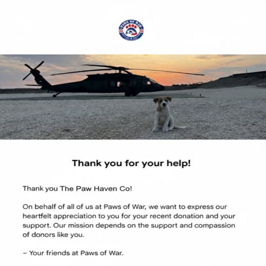 Because of You ❤️