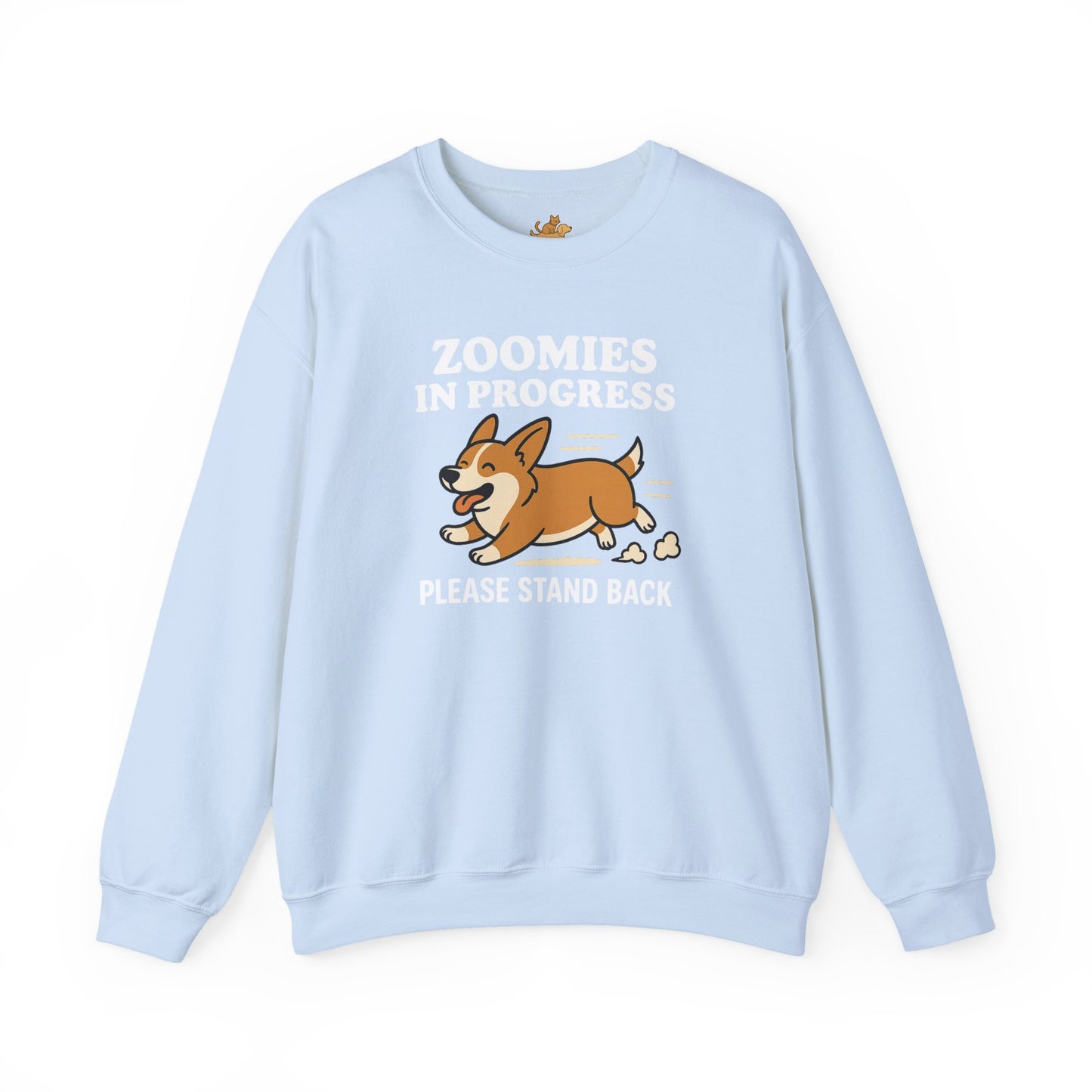 Corgi Zoomies