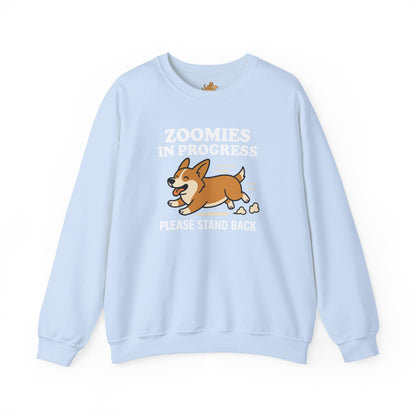 Corgi Zoomies