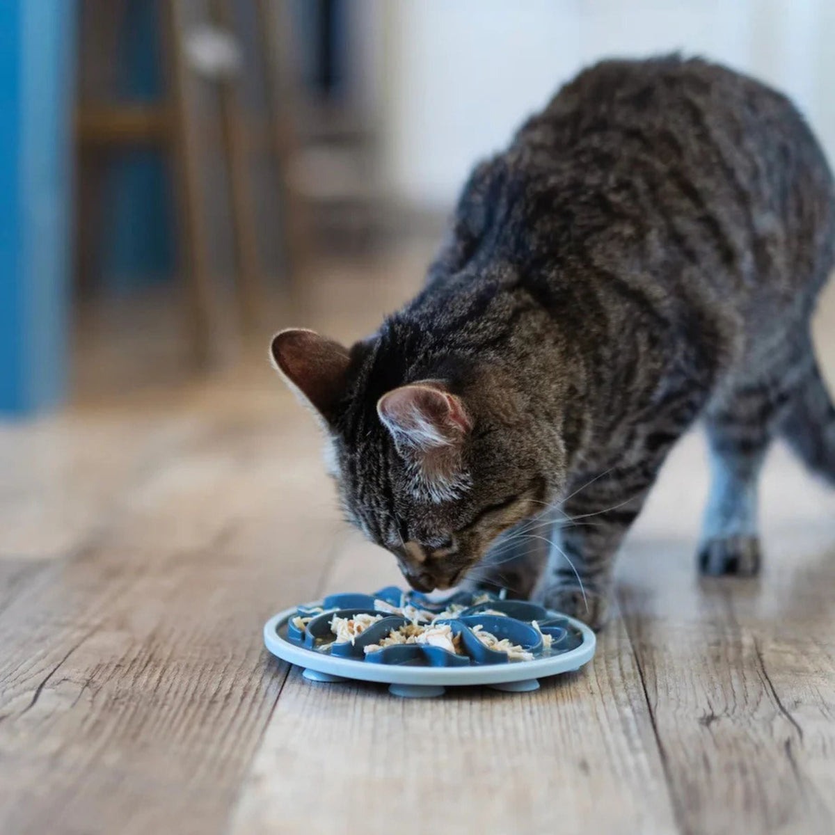 Messy Mutts Cat Interactive Feeder Gray 6 Inches