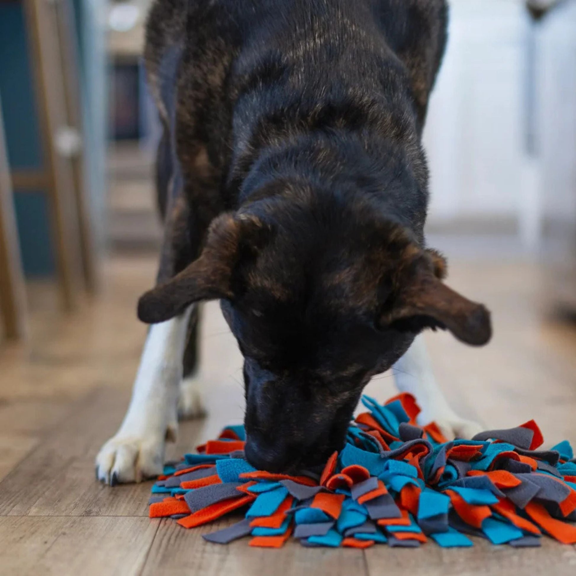 Messy Mutts Dog Round Forage Mat 15 Inch