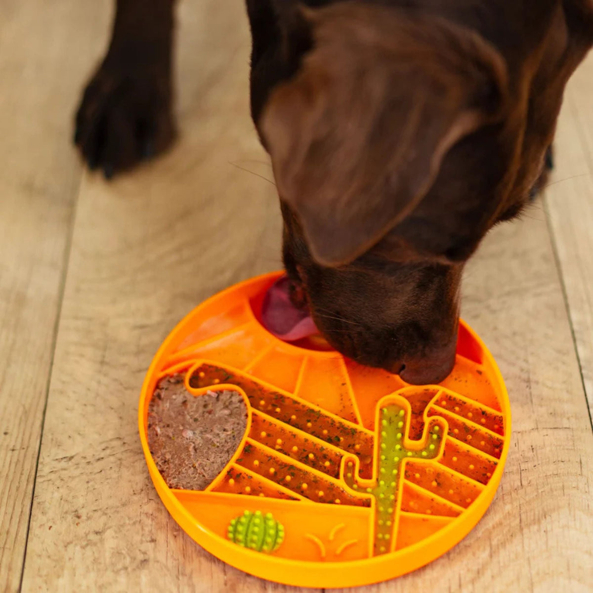 Messy Mutts Dog Silicone Interactive Lick Bowl Desert Pattern Orange