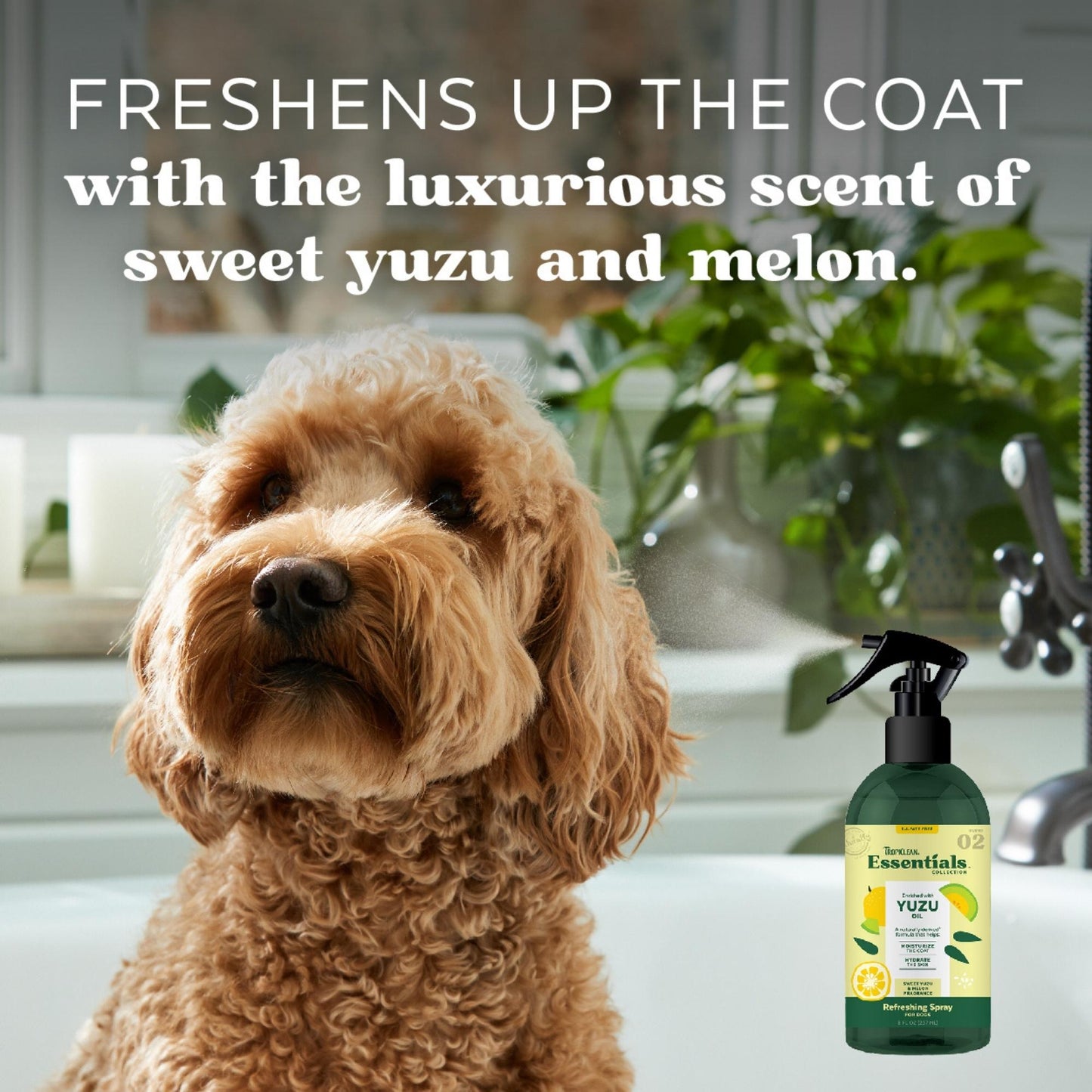 Tropiclean Dog Essentials Deodorizing Spray Yuzu Fruit 16oz. Default Title