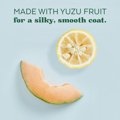 Tropiclean Dog Essentials Deodorizing Spray Yuzu Fruit 16oz. Default Title
