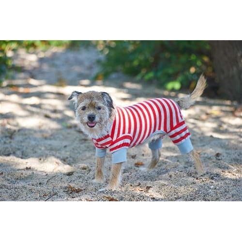 Spot Ethical Pet Striped Pajama Red Medium