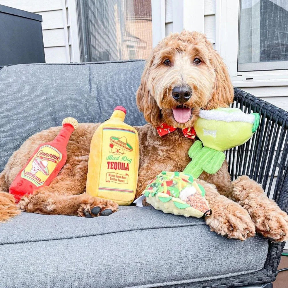 H&K Power Plush Dog Margarita Loco Large Squeak Crinkle