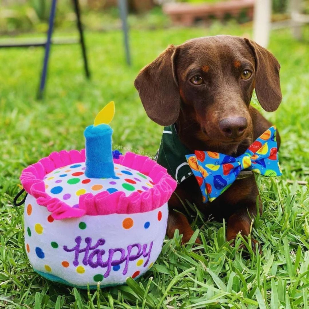 H&K Power Plush Dog Happy Barkday Cake Small Squeak Crinkle