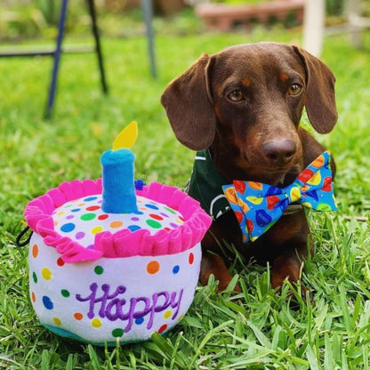H&K Power Plush Dog Happy Barkday Cake Large Squeak Crinkle