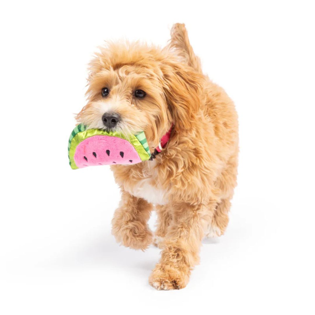 H&K Tiny Tuff D Walter Melon Plush Squeak Crinkle