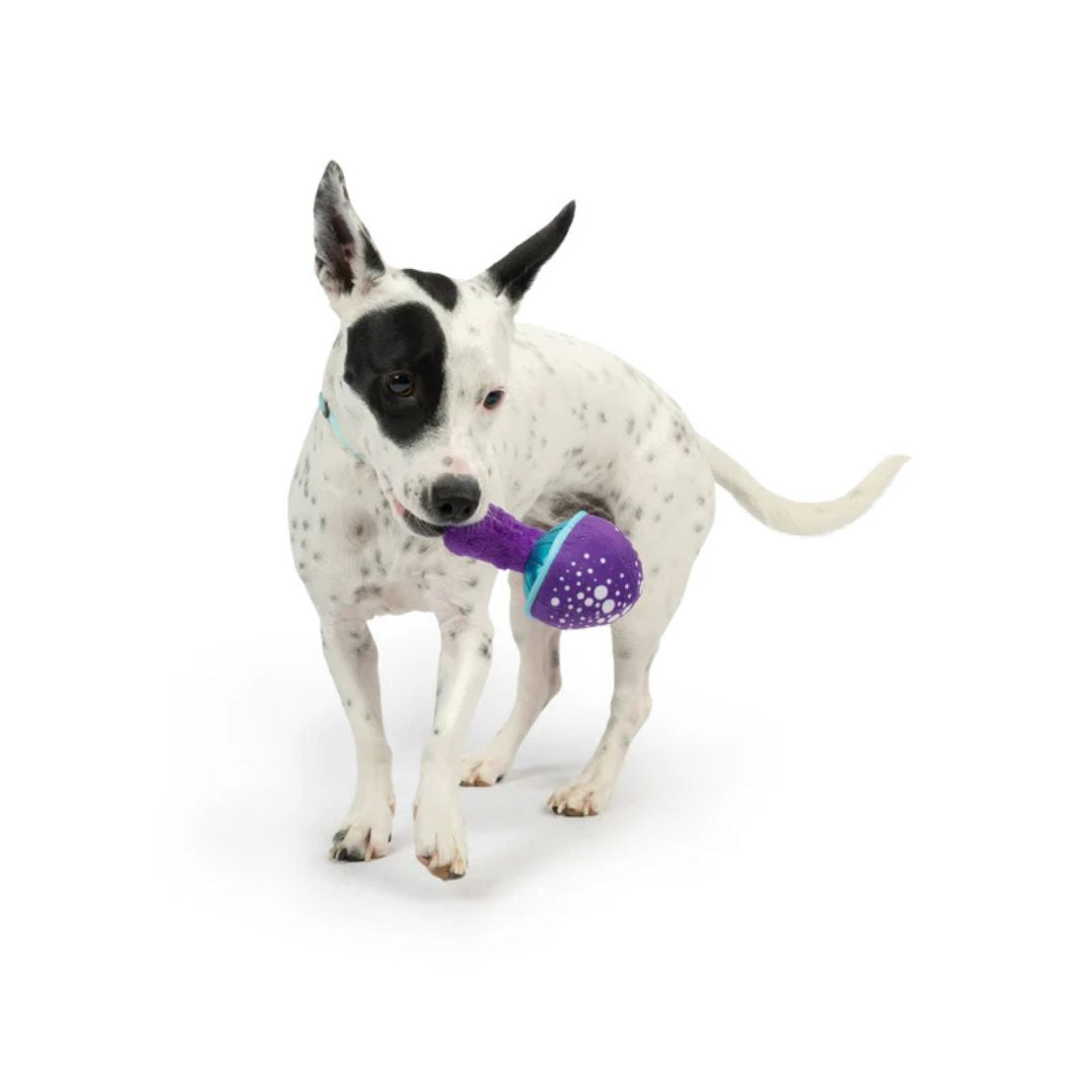 H&K Tiny Tuff D Mellow Mushroom Plush Squeak Crinkle