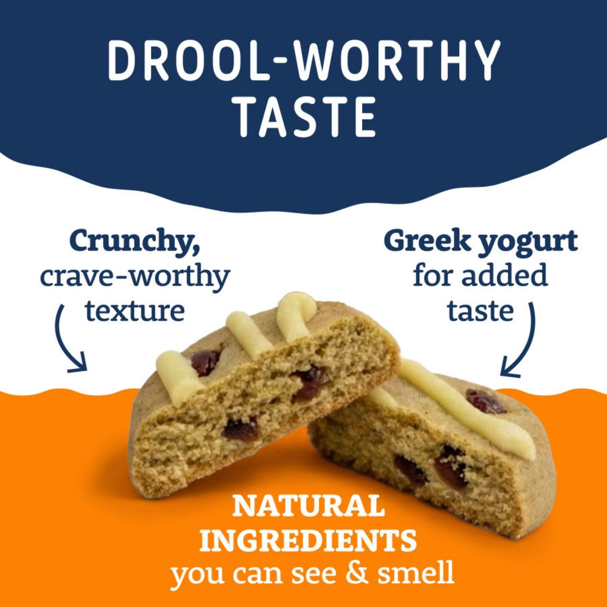 Natural Balance Pet Foods Yo-Gut Bites Dog Treats Pumpkin & Cranberries, 1ea/10oz.