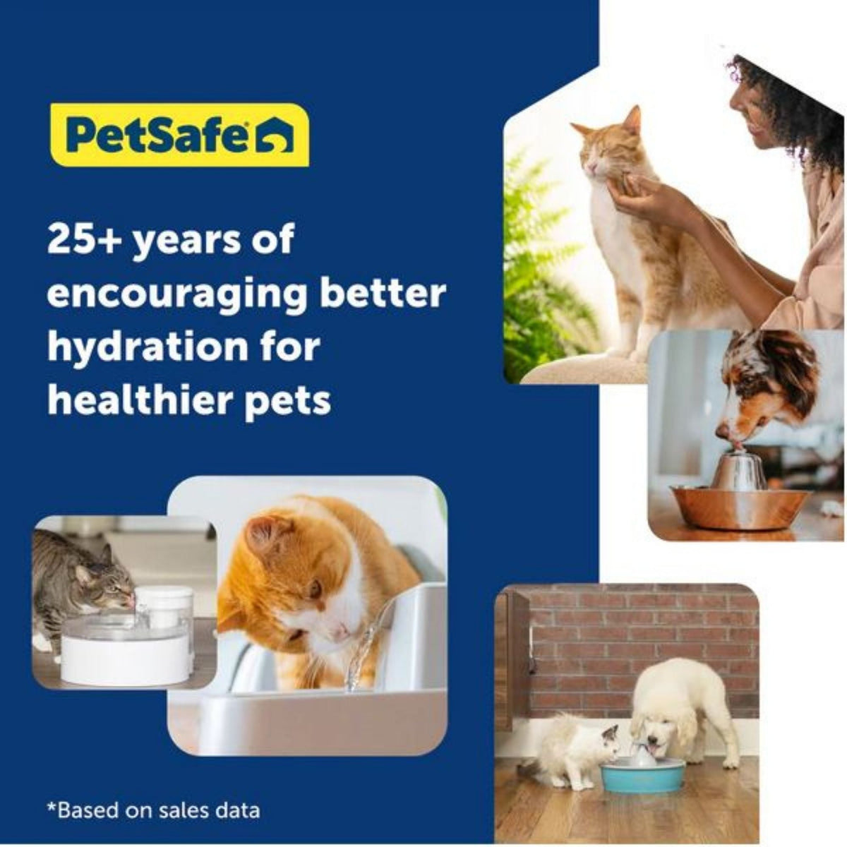 Petsafe Dog & Cat Drinkwell Fountain - 2 Gallon
