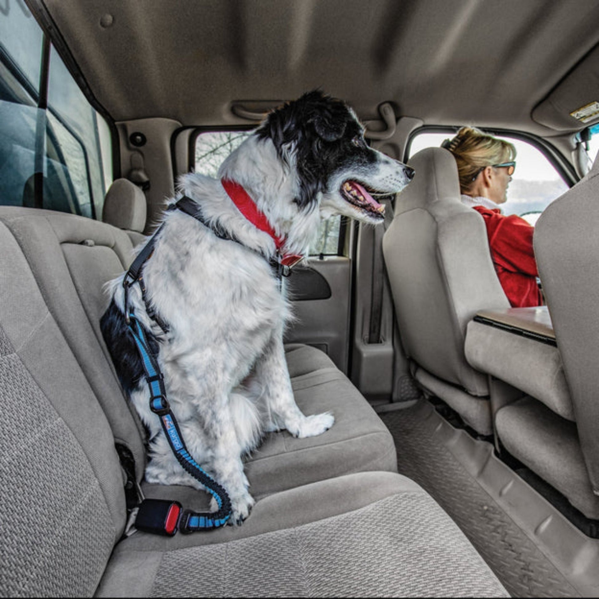 Kurgo Dog Seat Belt Bungee Tether