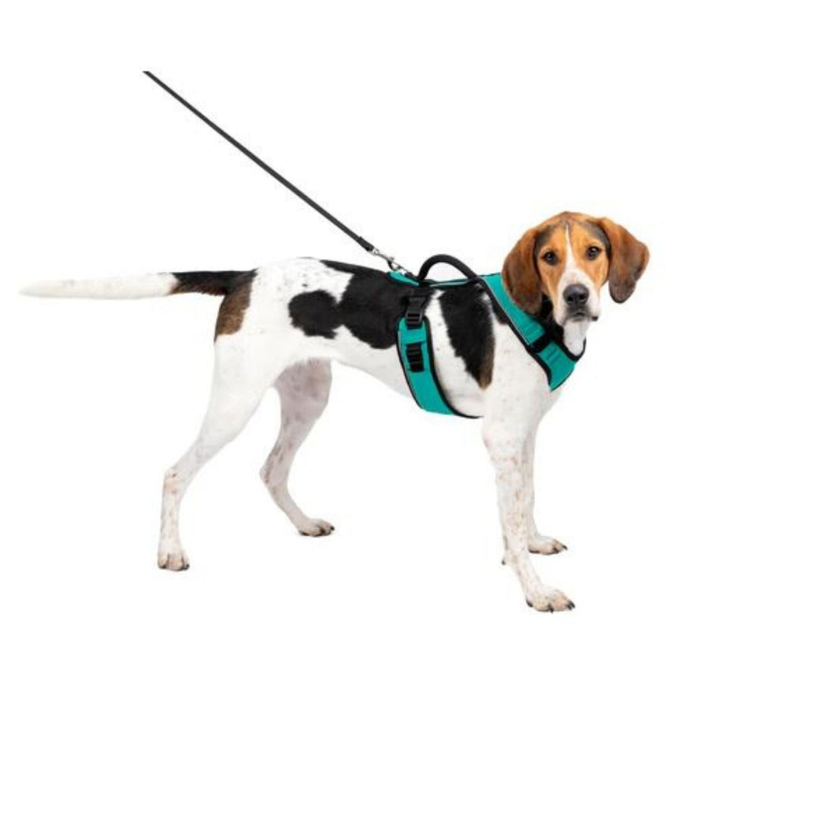 Petsafe Dog Easy Sport Harness Teal Large