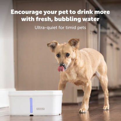 Petsafe Dog & Cat Viva Fountain Plastic Tray 64oz.